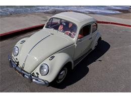 1963 Volkswagen Beetle (CC-2109017) for sale in Cadillac, Michigan