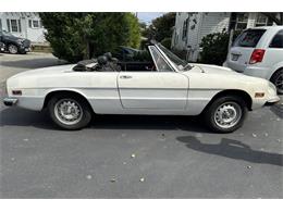 1971 Alfa Romeo Spider (CC-2109030) for sale in Hingham, Massachusetts