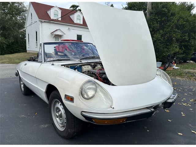 1971 Alfa Romeo Spider (CC-2109030) for sale in Hingham, Massachusetts
