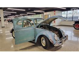 1962 Volkswagen Beetle (CC-2109035) for sale in Dearborn, Michigan
