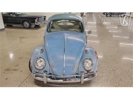 1962 Volkswagen Beetle (CC-2109035) for sale in Dearborn, Michigan
