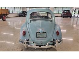 1962 Volkswagen Beetle (CC-2109035) for sale in Dearborn, Michigan