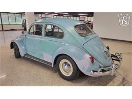 1962 Volkswagen Beetle (CC-2109035) for sale in Dearborn, Michigan