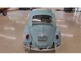 1962 Volkswagen Beetle (CC-2109035) for sale in Dearborn, Michigan