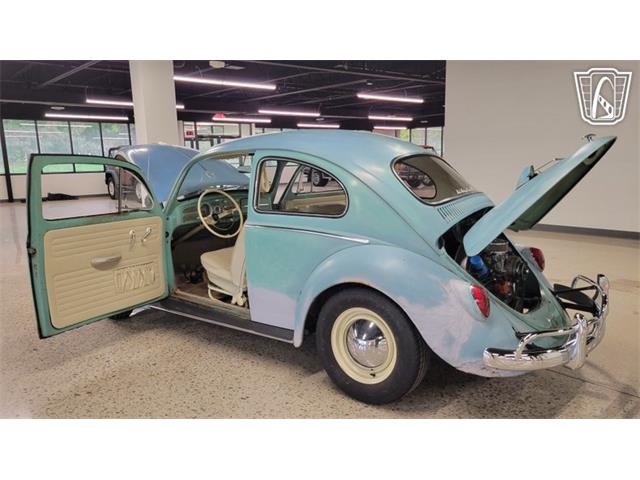 1962 Volkswagen Beetle (CC-2109035) for sale in Dearborn, Michigan