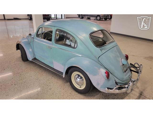 1962 Volkswagen Beetle (CC-2109035) for sale in Dearborn, Michigan