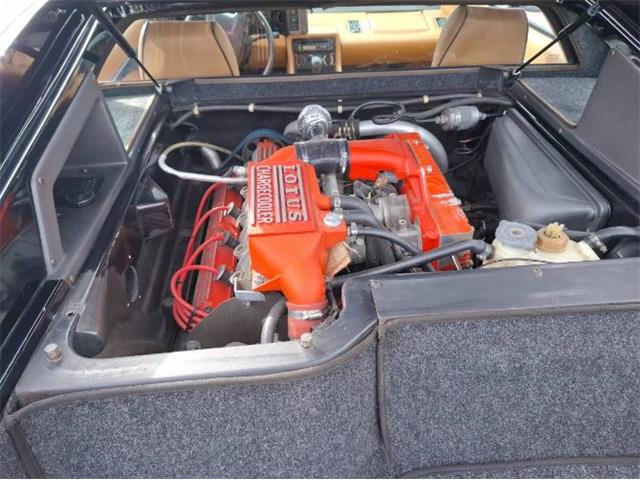 1995 Lotus Esprit (CC-2109042) for sale in Cadillac, Michigan
