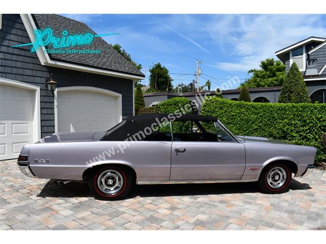 1965 Pontiac GTO (CC-2109097) for sale in Lakeland, Florida
