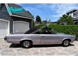1965 Pontiac GTO (CC-2109097) for sale in Lakeland, Florida