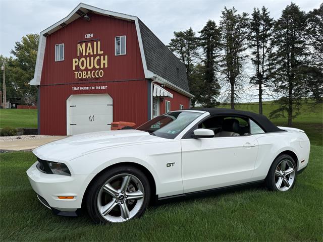 2010 Ford Mustang GT (CC-2109170) for sale in Latrobe, Pennsylvania