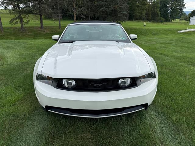 2010 Ford Mustang GT (CC-2109170) for sale in Latrobe, Pennsylvania