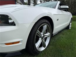 2010 Ford Mustang GT (CC-2109170) for sale in Latrobe, Pennsylvania
