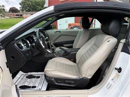 2010 Ford Mustang GT (CC-2109170) for sale in Latrobe, Pennsylvania