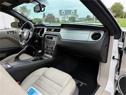 2010 Ford Mustang GT (CC-2109170) for sale in Latrobe, Pennsylvania