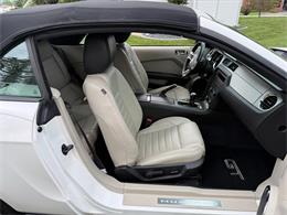 2010 Ford Mustang GT (CC-2109170) for sale in Latrobe, Pennsylvania