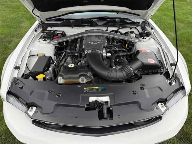 2010 Ford Mustang GT (CC-2109170) for sale in Latrobe, Pennsylvania