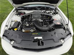 2010 Ford Mustang GT (CC-2109170) for sale in Latrobe, Pennsylvania