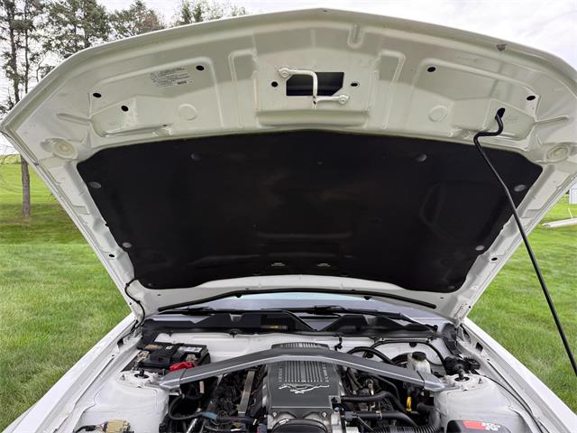 2010 Ford Mustang GT (CC-2109170) for sale in Latrobe, Pennsylvania