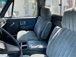 1982 Chevrolet 1/2-Ton Pickup (CC-2109211) for sale in Hobart, Indiana