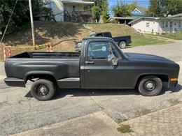 1982 Chevrolet 1/2-Ton Pickup (CC-2109211) for sale in Hobart, Indiana