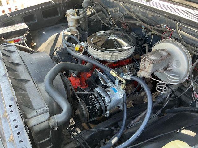 1982 Chevrolet 1/2-Ton Pickup (CC-2109211) for sale in Hobart, Indiana