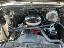 1982 Chevrolet 1/2-Ton Pickup (CC-2109211) for sale in Hobart, Indiana