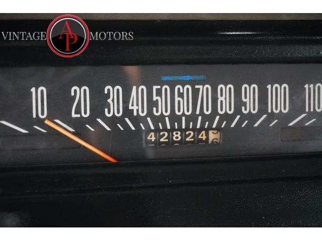 1977 International Scout (CC-2100925) for sale in Statesville, North Carolina