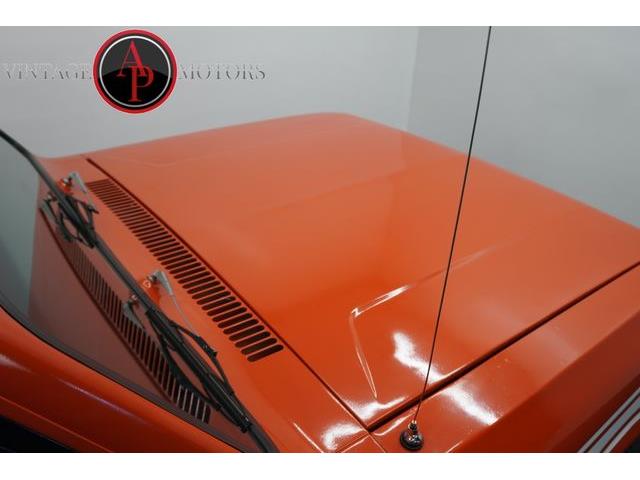 1977 International Scout (CC-2100925) for sale in Statesville, North Carolina