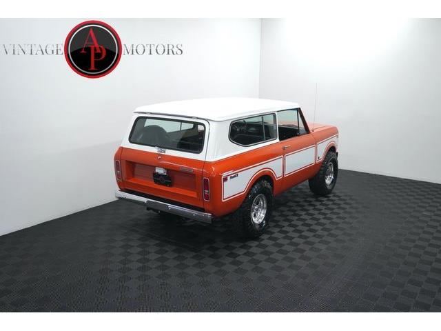 1977 International Scout (CC-2100925) for sale in Statesville, North Carolina