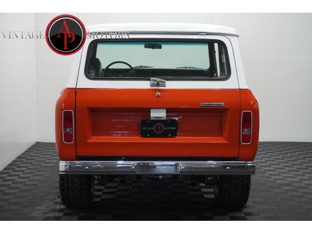 1977 International Scout (CC-2100925) for sale in Statesville, North Carolina