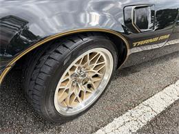 1979 Pontiac Firebird Trans Am SE (CC-2109265) for sale in Boca Raton , Florida