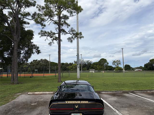 1979 Pontiac Firebird Trans Am SE (CC-2109265) for sale in Boca Raton , Florida