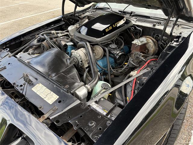 1979 Pontiac Firebird Trans Am SE (CC-2109265) for sale in Boca Raton , Florida