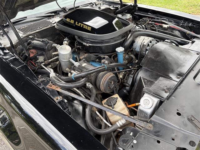 1979 Pontiac Firebird Trans Am SE (CC-2109265) for sale in Boca Raton , Florida