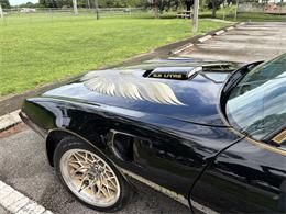 1979 Pontiac Firebird Trans Am SE (CC-2109265) for sale in Boca Raton , Florida