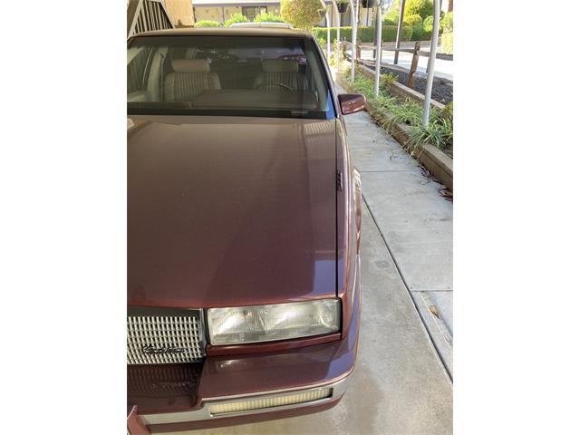 1986 Cadillac Seville Elegante (CC-2109281) for sale in Escondido , California