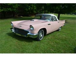 1957 Ford Thunderbird (CC-2109284) for sale in Clarklake, Michigan