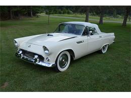 1955 Ford Thunderbird (CC-2109288) for sale in Clarklake, Michigan