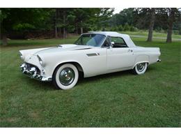 1955 Ford Thunderbird (CC-2109288) for sale in Clarklake, Michigan