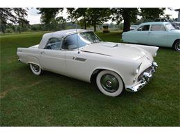 1955 Ford Thunderbird (CC-2109288) for sale in Clarklake, Michigan