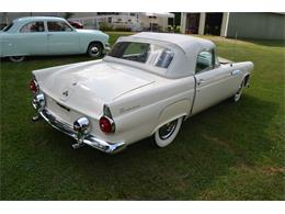 1955 Ford Thunderbird (CC-2109288) for sale in Clarklake, Michigan