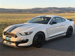 2020 Ford Mustang GT350 (CC-2109298) for sale in Manhattan, Montana