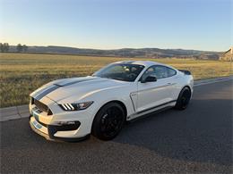 2020 Ford Mustang GT350 (CC-2109298) for sale in Manhattan, Montana