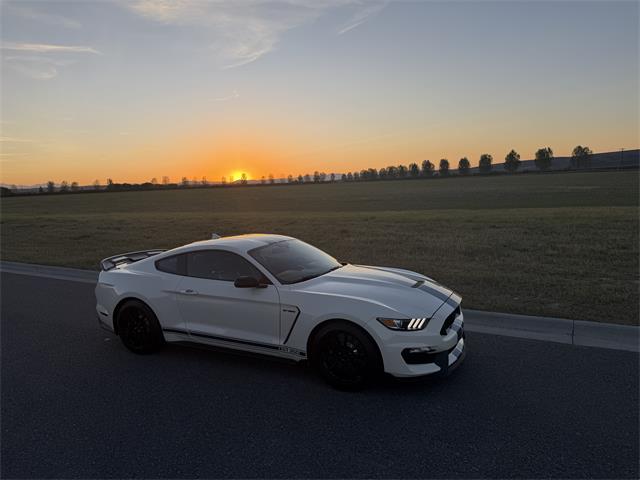 2020 Ford Mustang GT350 (CC-2109298) for sale in Manhattan, Montana
