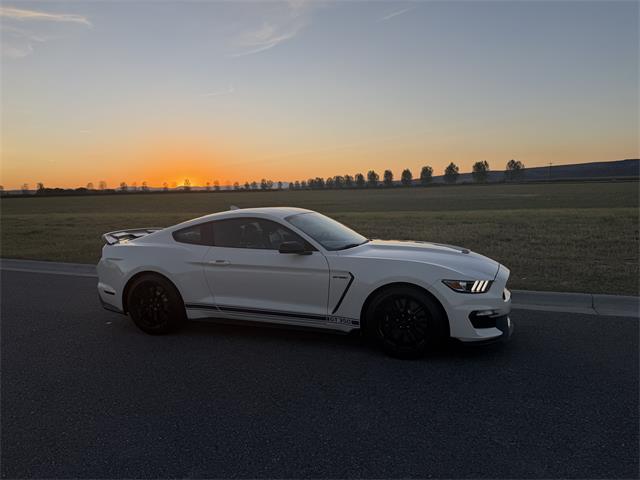 2020 Ford Mustang GT350 (CC-2109298) for sale in Manhattan, Montana