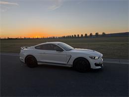 2020 Ford Mustang GT350 (CC-2109298) for sale in Manhattan, Montana