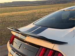 2020 Ford Mustang GT350 (CC-2109298) for sale in Manhattan, Montana