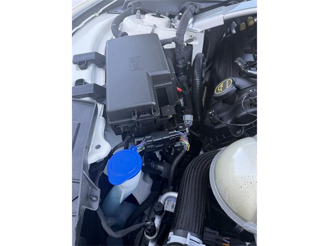 2020 Ford Mustang GT350 (CC-2109298) for sale in Manhattan, Montana