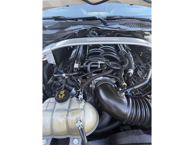 2020 Ford Mustang GT350 (CC-2109298) for sale in Manhattan, Montana