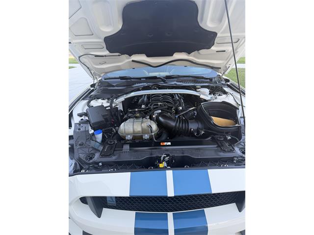 2020 Ford Mustang GT350 (CC-2109298) for sale in Manhattan, Montana